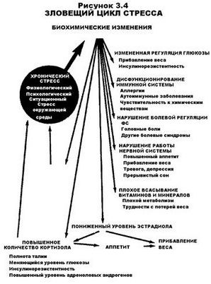 исследование