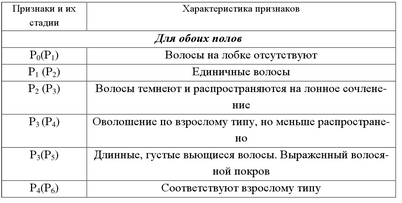 половой половой