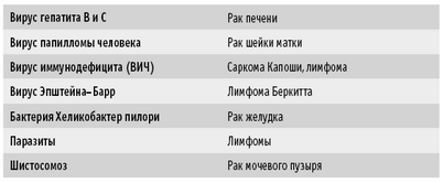 клетка клетка