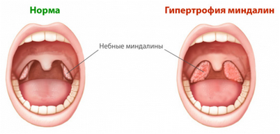 диагностик диагностик