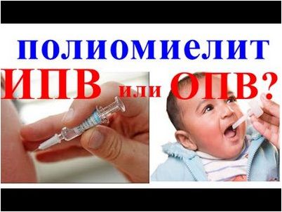 вакцина вакцина