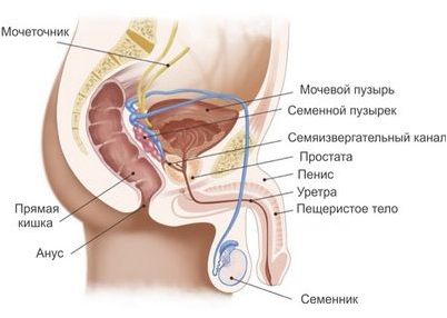 более более