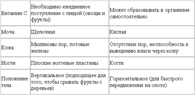 простата простата