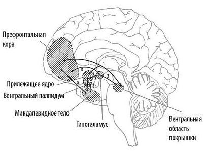 отчет