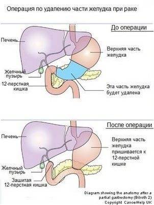 хороший хороший