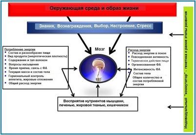 колледж колледж
