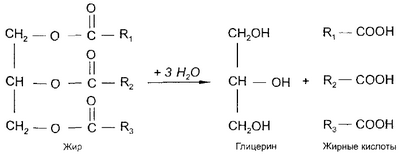 получить