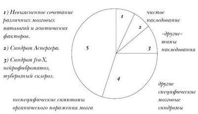 аутизма аутизма