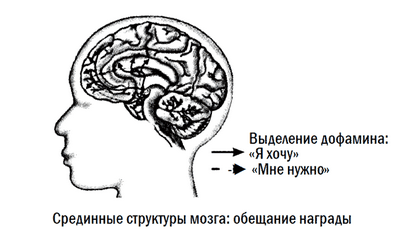 исследование