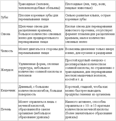 человек человек