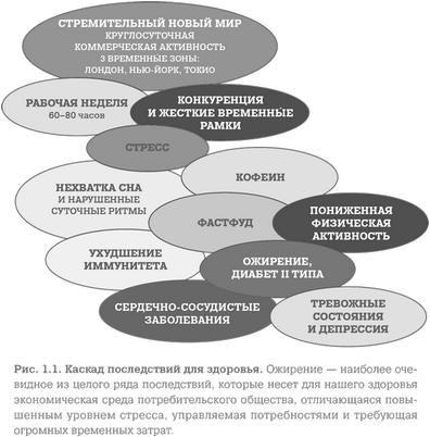 ожирение ожирение