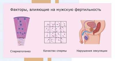 Экспериментальное сохранение фертильности вселяет надежду юношам Экспериментальное сохранение фертильности вселяет надежду юношам