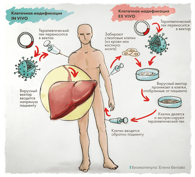 Проблемы лечения древних биомолекул