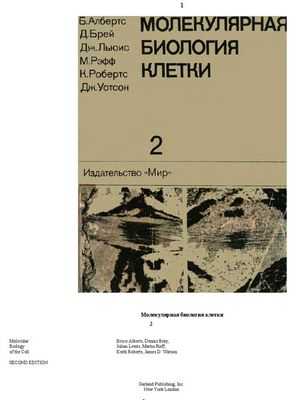 Последствия спаривания на молекулярном уровне: новый механизм, с помощью которого спаривание влияет на поведение стволовых клеток зародышевой линии