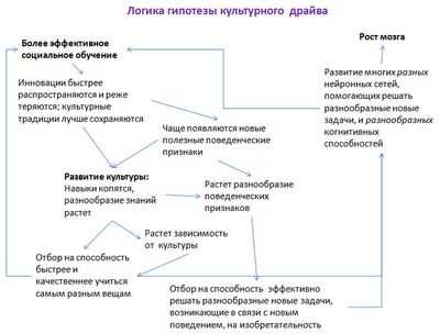 Навыки обучения мышей помогают исследователям определять области мозга, в которых хранятся приобретенные знания