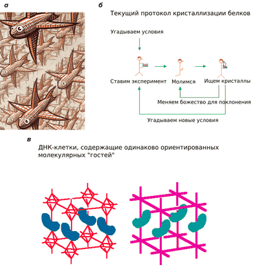 Новый поворот в ДНК-оригами: структуры мета-ДНК трансформируют мир ДНК-нанотехнологий