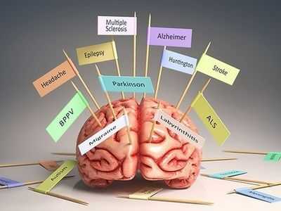 Открытие мозга объясняет великую загадку болезни Альцгеймера и Паркинсона