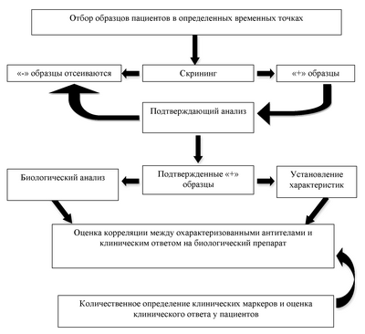 Один фермент помогает вызвать воспаление у мышей и является мишенью для новых препаратов от сепсиса