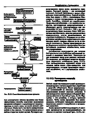 Новое понимание роста родинок может помочь в разработке методов лечения рака кожи: исследование, детализирующее процессы, контролирующие размер родинок, может помочь ученым найти новые способы предотвращения роста рака кожи